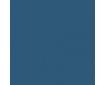RAL 5009 