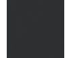 RAL 9004 
