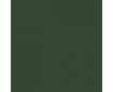RAL 6020 