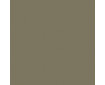 RAL 1035 