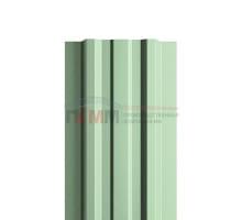 Евроштакетник ECON-T 16,5х99-0,5 RAL6019 Norman