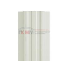 Евроштакетник ECON-T 16,5х99-0,5 RAL9002 Norman