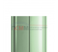 Евроштакетник ECON 19х126-0,5 RAL6019 Norman.