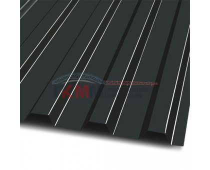 Профлист МП20-1100-0.45 RAL9005 Viking