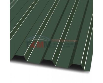 Профлист МП20-1100-0.5 RR11 PURETAN