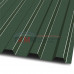 Профлист МП20-1100-0.5 RR11 PURETAN