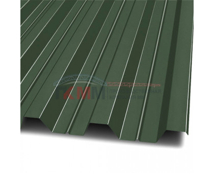 Профлист Н60-845-0.5 RR11 PURETAN
