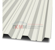 Профлист Н60-845-0.5 RAL9003 Norman