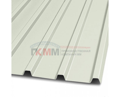 Профлист С10-1150-0.5 RAL9010 Пластизол