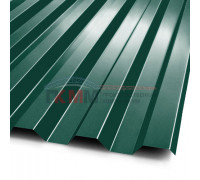 Профнастил C21-1000-0.5 RAL6005 Viking E