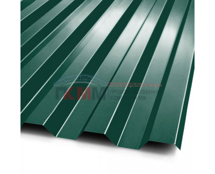 Профнастил C21-1000-0.5-RAL6005 Призма
