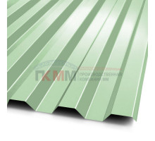 Профнастил C21-1000-0.5 RAL6019 Norman