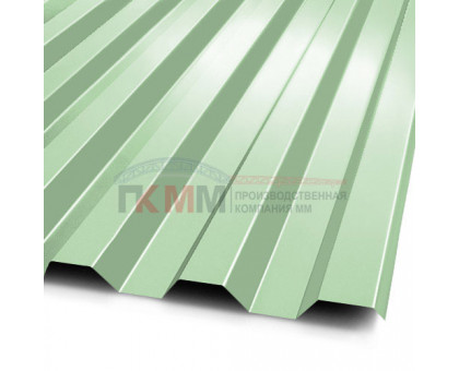 Профнастил C21-1000-0.5 RAL6019 Norman Профнастил C21-1000-0.5 RAL6019 Norman