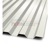Профнастил C21-1000-0.5 RAL9010 Пластизол