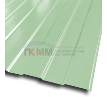 Профлист С8-1150-0.5 RAL6019 Norman