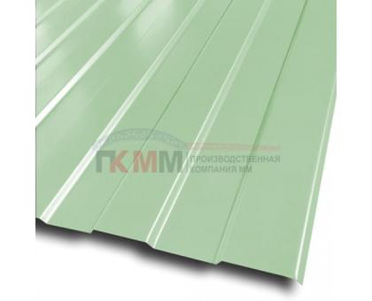 Профлист С8-1150-0.5 RAL6019 Norman